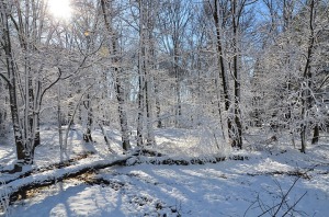 68-late-snowfall